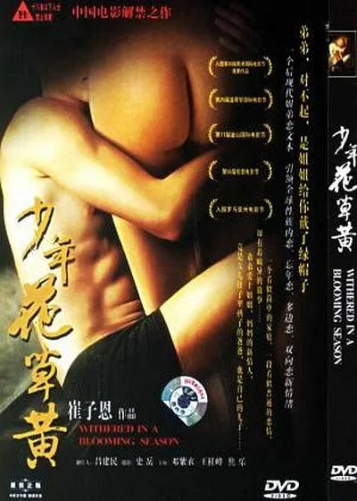 [2006][中国][少年花草黄][国语中字][MP4][1.17GB][百度网盘]