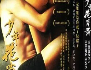 《2006 年中国经典影片<少年花草黄>国语中字版 MP4 1.17GB 百度网盘资源》-小文资源网