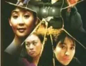 《1988 大陆剧情佳作〈特别手术室〉国语中字，318M 百度网盘资源》