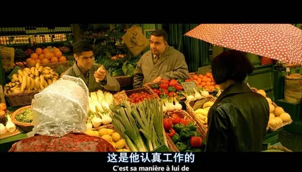 [法国 / 德国][2001][剧情][天使爱美丽 Le fabuleux destin d’Amélie Poulain][国语中字][2.19G][百度网盘]