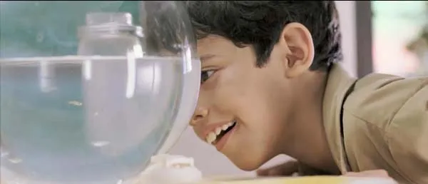 [印度][2007][剧情][地球上的星星 Taare Zameen Par][原声中字][2.28G][百度网盘]