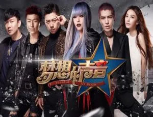 《梦想的声音》第一季 1-12 期 136 首综艺 LIVE 歌曲音乐合集 百度云网盘下载-小文资源网