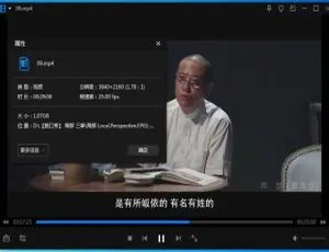 《局部》陈丹青高清 4K 脱口秀综艺（1-3 季）全集 百度云网盘下载-小文资源网