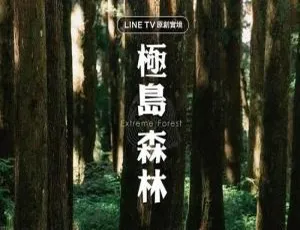 《极岛森林》（2022）国语繁中全集 12 集，精彩呈现！-小文资源网