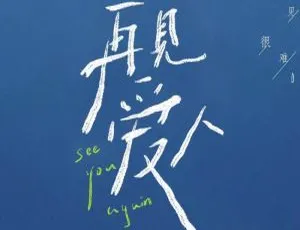 《再见爱人》全 14 期：高清 1080P 婚姻纪实观察真人秀，国语中字资源合集【百度云网盘下载】-小文资源网