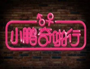 《小鹏奇啪行》全季及番外精彩合集！高清视频，40.53GB 一键下载-小文资源网