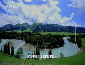 《2019 天山南北寻味之旅：全 8 集 1080P 国语配音中文字幕 百度网盘分享》-小文资源网