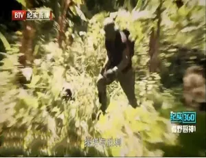 《荒野厨神》1080P 原声配音 10 集 英语中字 百度网盘资源-小文资源网