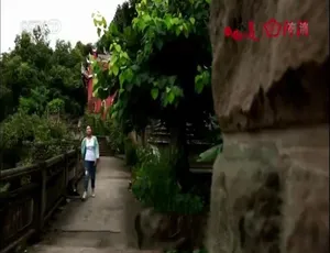 《味道·我的中国味》精彩纪录片 12 集 1080P/720P 国语配音中文字幕 百度网盘资源-小文资源网