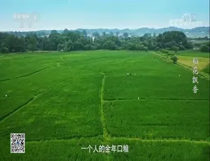 《端牢中国饭碗》精彩纪录片：16 集国语中字 720P 百度网盘资源-小文资源网