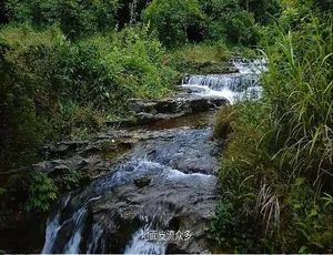 《圈粉食刻》精彩纪录片：4K 画质，第一季 8 集，国语中字，百度网盘资源-小文资源网