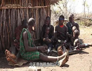 《探索人类社会原型的震撼纪录片》[720P/1080i][全 22 集中字][18.9G][百度网盘]-小文资源网