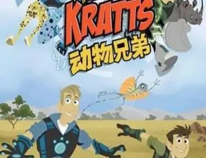 《动物兄弟 Wild Kratt 第二季中文版：26 集 2.52GB 百度网盘，儿童教育必备动画片》-小文资源网