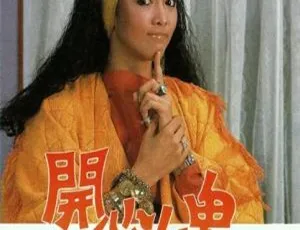 《1985 香港经典剧<开心女鬼>：郑裕玲与吕良伟领衔，国粤中字 20 集 2.43GB 百度网盘资源》-小文资源网