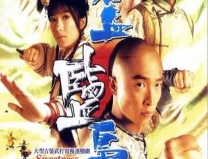 《碧血盐枭》2009 香港经典剧：马浚伟、杨茜尧领衔，国粤中字 25 集 27.28GB 百度网盘资源