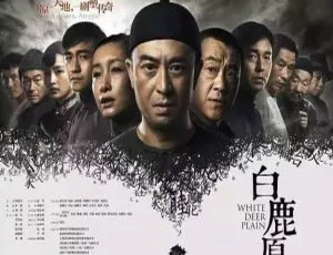 《张嘉益主演国产剧77 集高清 1080P 国语中字全集》
