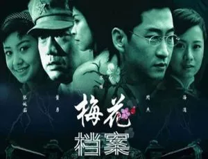 《梅花档案（2003）：毛卫宁执导国产剧全 22 集高清国语中字视频合集 百度云网盘下载》-小文资源网