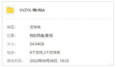 国产剧《梅花档案(2003)》全22集(毛卫宁执导)高清/国语中字/视频合集【百度云网盘下载】