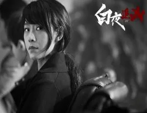 《白夜追凶》国产剧第一季 32 集超清 1080P 国语中字视频合集 百度云网盘下载