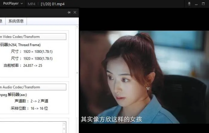 国产剧《爱很美味》全20集(叶大鹰执导)高清1080P/国语中字/电视剧合集