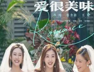 《爱很美味》国产剧全集 20 集 叶大鹰执导 高清 1080P 国语中字-小文资源网