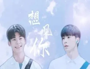 《想见你（2019）台版全集未删减 13 集+彩蛋 国语繁体中字 百度云网盘下载》