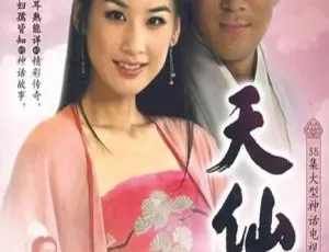 《2007 大陆版<天仙配>黄圣依杨子领衔 36 集 67.84GB 国语无字 百度网盘资源》-小文资源网