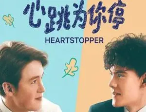 《心跳漏一拍/心跳为你停》英剧全 8 集，Netflix 出品 1080P 高清原声中字视频合集【百度云网盘下载】