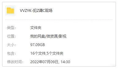 美剧《犯罪现场调查/CSI》第1-15季(AlecSmight执导)高清/英语中字/视频合集【百度云网盘下载】