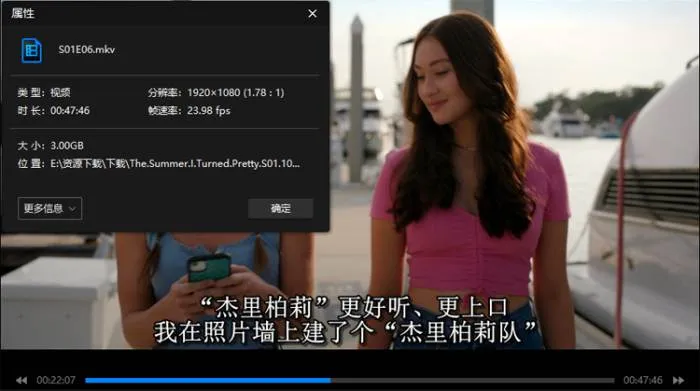 美剧《我变美的那夏天》全7集(埃丽卡·丹顿执导)高清/英音中字/视频合集【百度云网盘下载】