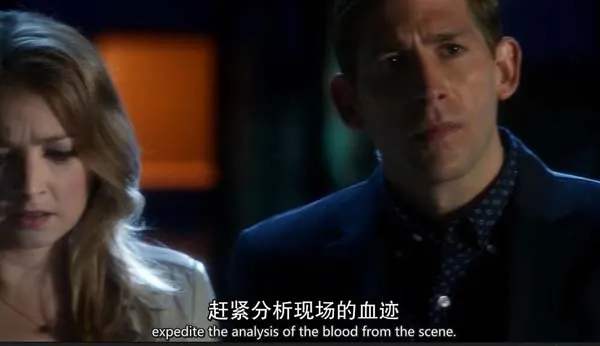 [电视剧] [2014][剧情][犯罪现场调查：拉斯维加斯][第十五季][7.30G][百度网盘]