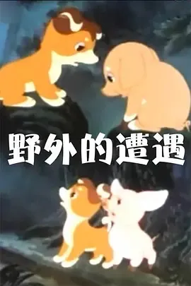 [1955][大陆][野外的遭遇][国语中字][480P_MKV][37.3MB][百度云]
