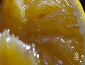 《风味原产地·潮汕》精彩纪录片 1080P 全 20 集 国语中字 百度网盘资源-小文资源网