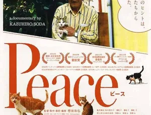 《完全和平手冊 Peace 2010》精彩纪录片 720P 日语中字 907M 百度网盘资源