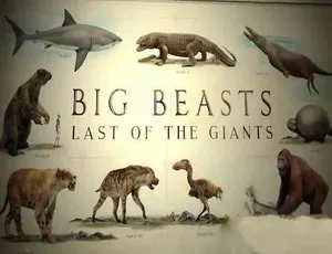 《终极巨兽档案：Big Beasts - Last of the Giants 震撼来袭！全 3 集 [TS/蓝光] 9.09G 百度网盘资源》