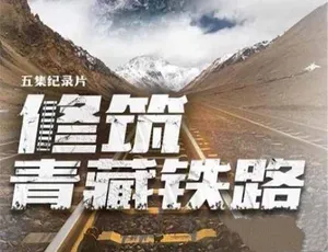 《国家记忆：震撼修筑青藏铁路全纪录》-小文资源网