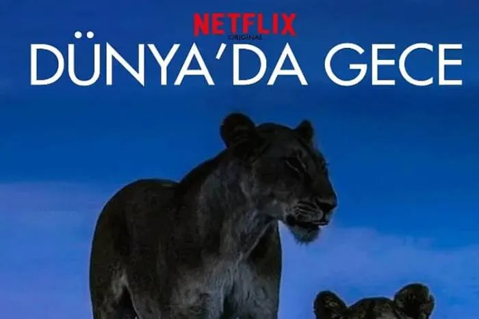 纪录片《地球的夜晚》Netflix出品(高清6集)英语中字/视频合集【百度云网盘下载】