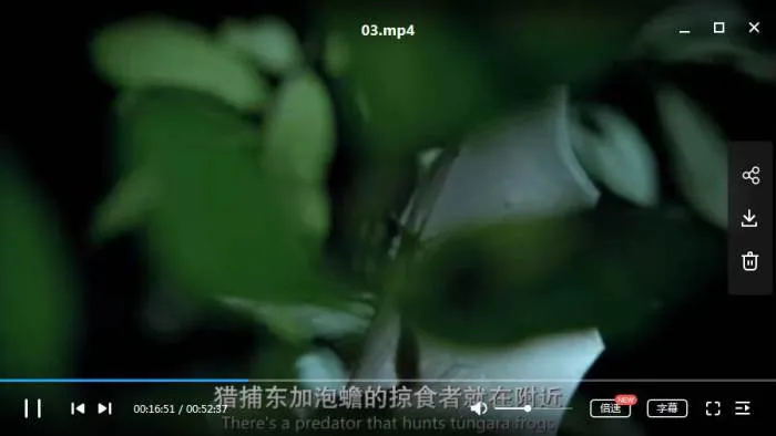 纪录片《地球的夜晚》Netflix出品(高清6集)英语中字/视频合集【百度云网盘下载】