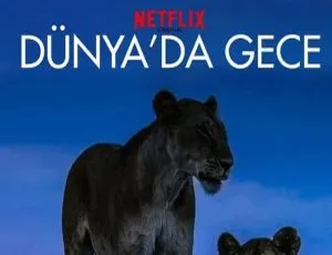 Netflix 出品高清纪录片《地球的夜晚》（6 集全）英语中字 百度云网盘下载