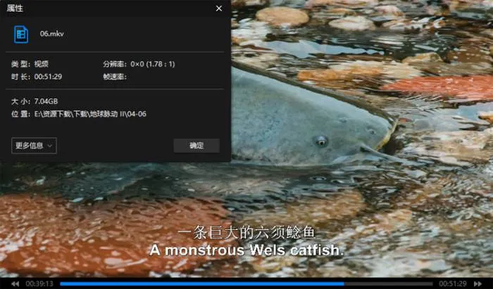 纪录片《地球脉动》全2季(BBC出品)高清/英语中字/视频合集【百度云/阿里云网盘下载】