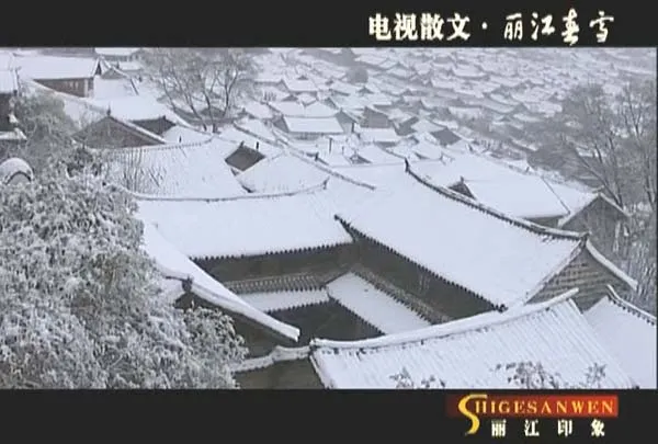 [1998-2002][CCTV3][电视诗歌散文][共5辑][8.4G][百度盘]