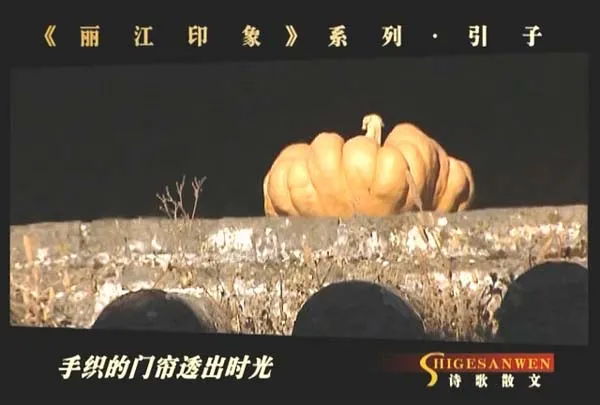 [1998-2002][CCTV3][电视诗歌散文][共5辑][8.4G][百度盘]
