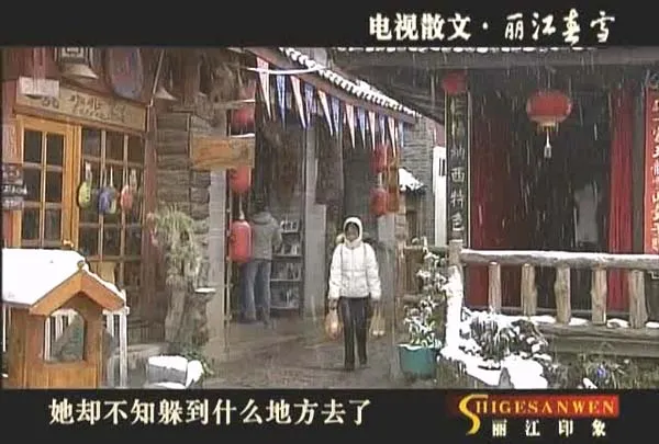 [1998-2002][CCTV3][电视诗歌散文][共5辑][8.4G][百度盘]