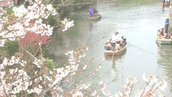 [2007][日本][樱花烂漫][1080P][AC3.x264-CHD][4.32G][百度盘]