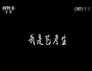 《我是艺考生》精彩纪录片：720P 画质，4 集国语中字，百度网盘资源