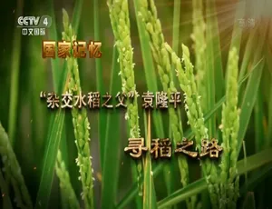 《国家记忆：“杂交水稻之父”袁隆平——震撼纪录片[1080P][5 集 国语中字][百度网盘]》-小文资源网