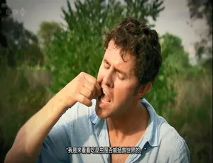 《食用昆虫：能否成为拯救世界的新希望？》