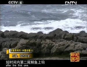 《中国古镇》1080P 高清纪录片，100 集国语中字，百度网盘资源-小文资源网