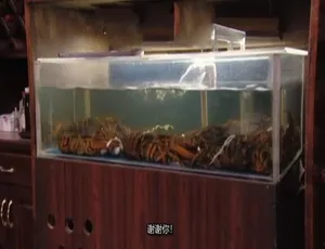 《厨房噩梦 Kitchen Nightmares》精彩纪录片 1080P 第三季 13 集 英语中字 百度网盘资源
