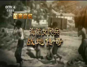 《海防女民兵：震撼纪录片全集 8.4G 1080/TS 百度网盘分享》-小文资源网